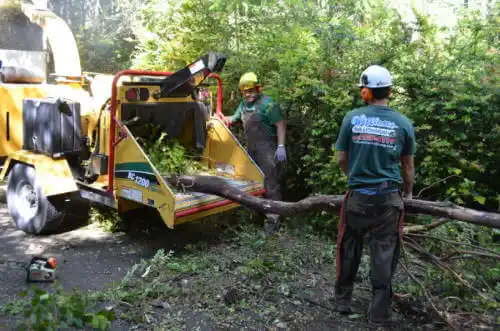 tree services West College Corner